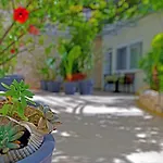 Apartments Micic